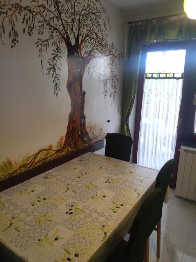 Zelena Oaza Apartment Novigrad Istria Exterior foto